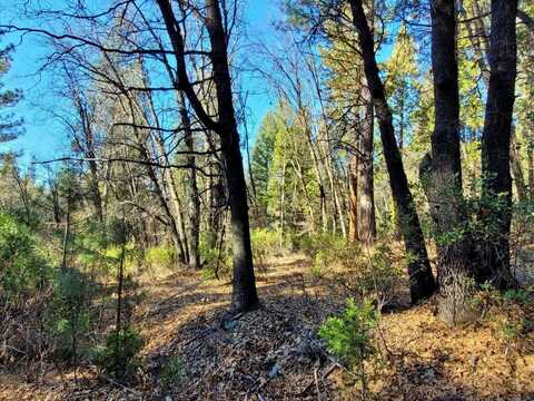 59791 Highway 70, Blairsden, CA 96103