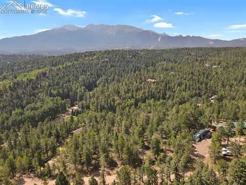 132 Elk Lane, Woodland Park, CO 80863