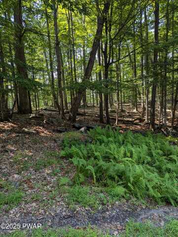 624 Play Ground Trail, Hawley, PA 18436