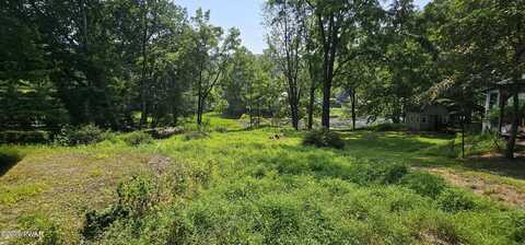 Lot 10 Odd Fellows Hall aka Grove St Street, Narrowsburg, NY, NY 12764