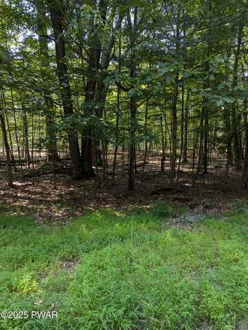620 Play Ground Trail, Hawley, PA 18436