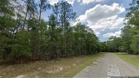 8747 N Malibu Road, Dunnellon, FL 34434