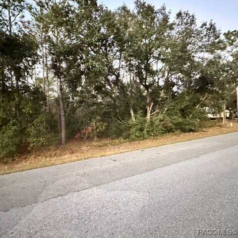 833 W Olympia Street, Hernando, FL 34442