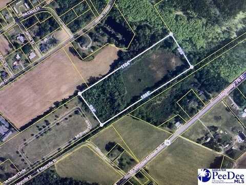 TBD E Magnolia Street, Lynchburg, SC 29080
