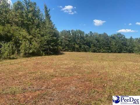 TBD E Magnolia Street, Lynchburg, SC 29080