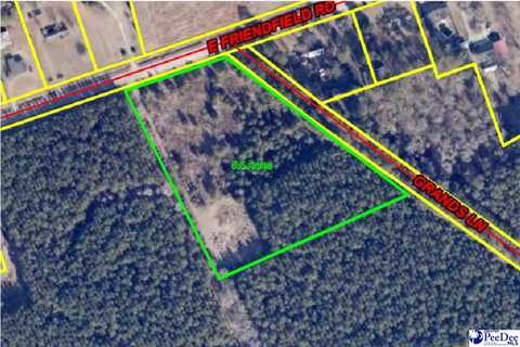 TBD Friendfield Rd, Coward, SC 29530