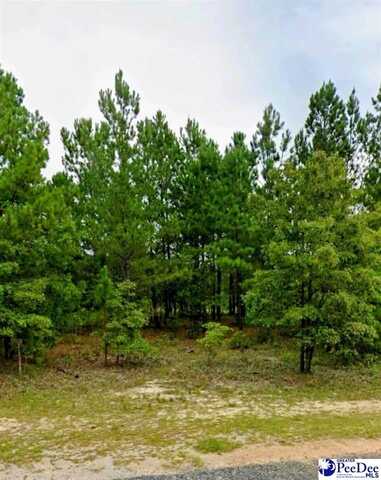 Lot 24 S Timberlake Ln, Hartsville, SC 29550