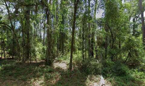 1032 E Vercelli Lane, Citrus Springs, FL 34434