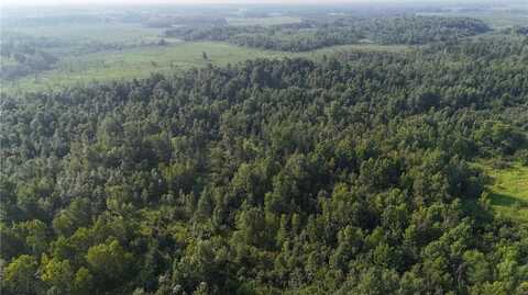 Tbd Highway 107, Brook Park, MN 55007