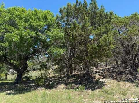 1352 Stardust Drive, Canyon Lake, TX 78133