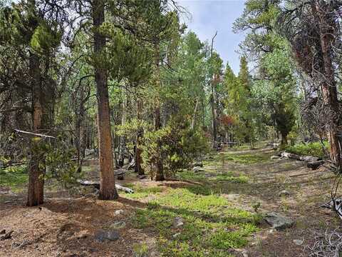 PCS#7923 SUDS SPOT, Fairplay, CO 80440