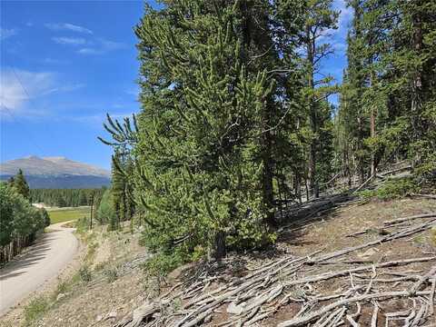 PCS#44083 CO RD 1, Fairplay, CO 80440