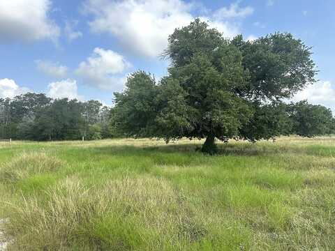 8345 Farm To Market Road 2145, La Grange, TX 78945