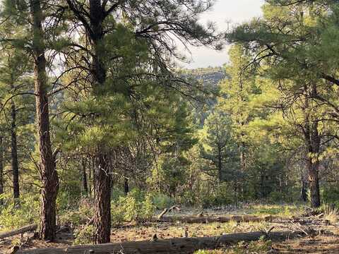 Tract D-4B-1, Tierra Amarilla, NM 87575