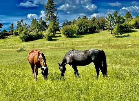 3 Elk Drive, Chama, NM 87520