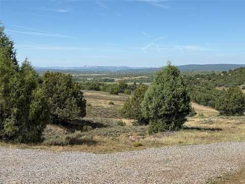 196 CR 341, Chama, NM 87520