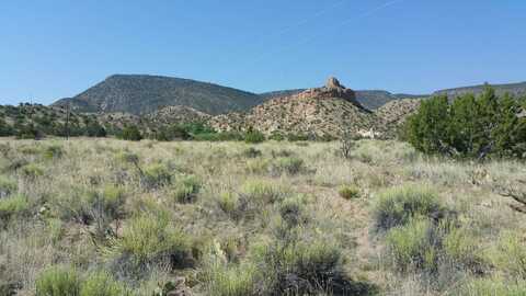 County Road 163, Abiquiu, NM 87510