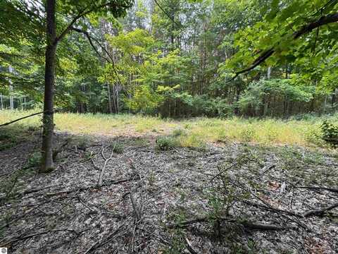 Lot #2 E Bellinger Road, Cedar, MI 49621