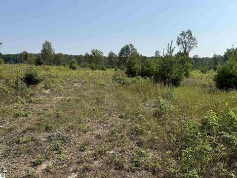 Parcel A7 S Bright Road, Maple City, MI 49664