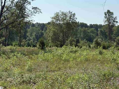 Parcel A8 S Bright Road, Maple City, MI 49664