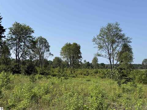 Parcel A3 E Kasson Road, Maple City, MI 49664