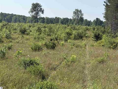 Parcel A1 E Kasson Road, Maple City, MI 49664