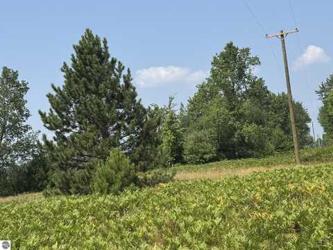 VL N Stevens Road, Lake City, MI 49651