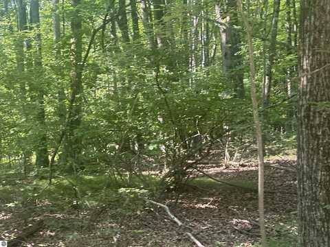 Lot # 179 Mockingbird Circle, Farwell, MI 48622