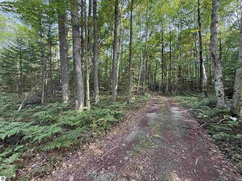 S Poor Farm Road, Greenbush, MI 48738