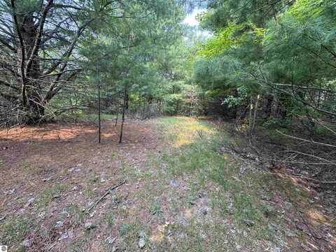 Lot #1 E Bellinger Road, Cedar, MI 49621