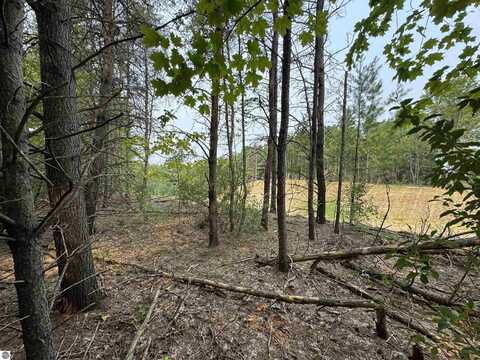 Lot #1 E Bellinger Road, Cedar, MI 49621