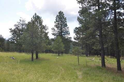 Lot 8 Winged Foot Way, Angel Fire, NM 87710
