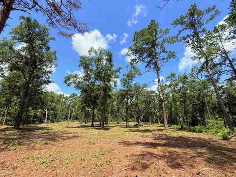 489 Ashville Highlands Drive, Greenville, FL 32331