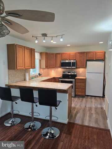 36797 S RICARDO DRIVE, BUSHWOOD, MD 20618