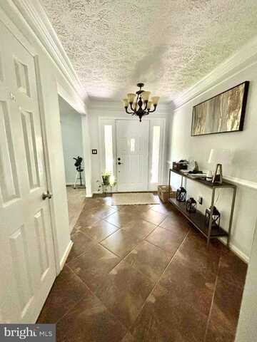 1007 BLACKBEARD DRIVE, STAFFORD, VA 22554