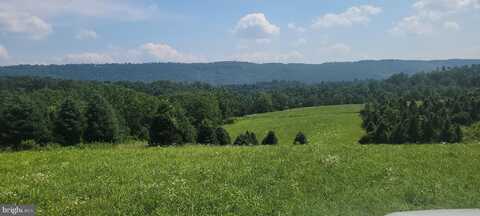 434 WINDING HOLLOW ROAD, HERNDON, PA 17830