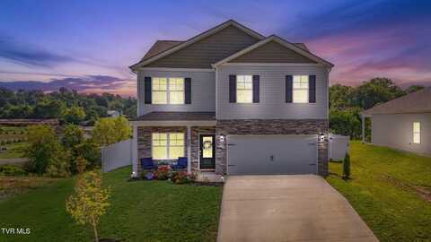 146 Tanasqui Drive, Johnson City, TN 37604