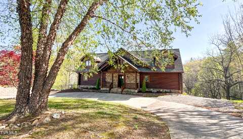 120 Holly Pointe, Butler, TN 37640