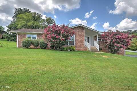 233 Pioneer Haven Lane Lane, Kingsport, TN 37663