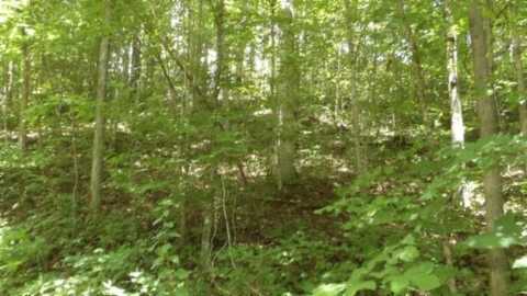 4364 Livingston Hwy, Celina, TN 38551
