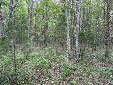 1994 Goforth Rd., Morrison, TN 37110