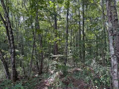 1936 Goforth Rd., Morrison, TN 37357