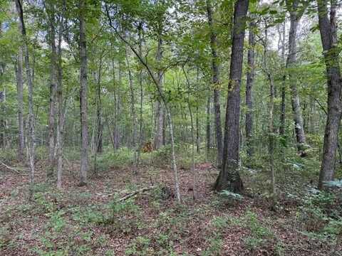 2103 Goforth Rd., Morrison, TN 37357