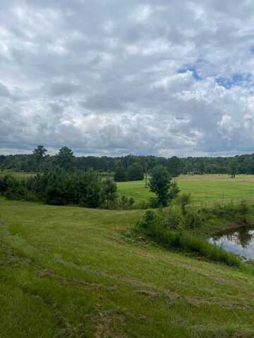 143 ALEXANDER TUBBS Ln, Nauvoo, AL 35578