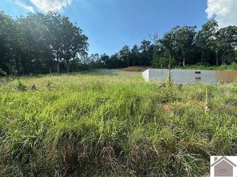 538 holly Lane, Kuttawa, KY 42055