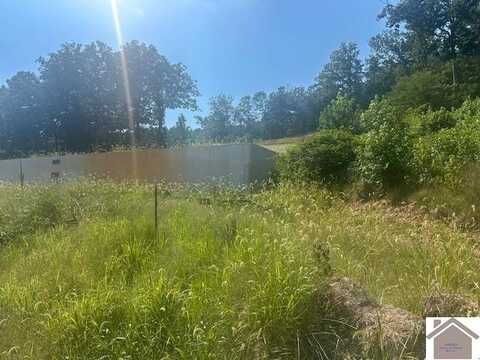 528 holly lane, Kuttawa, KY 42055