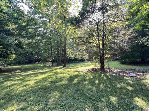 5289 (Land) Blue Springs Rd., Cadiz, KY 42211