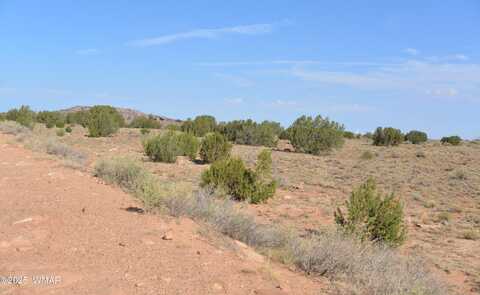 Tbd Ridgeview Ranch Road, Snowflake, AZ 85937