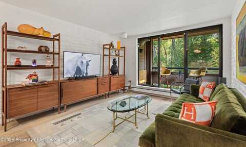 332 VINE Street, Aspen, CO 81611