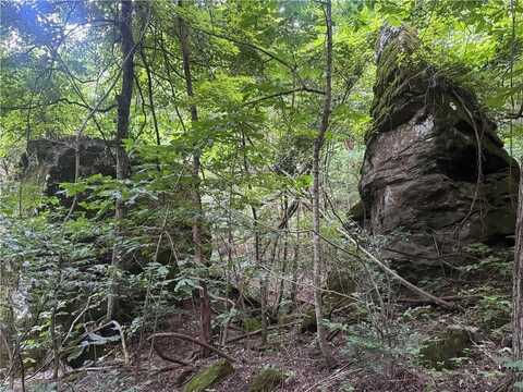 TBD NC 8141, Jasper, AR 72641